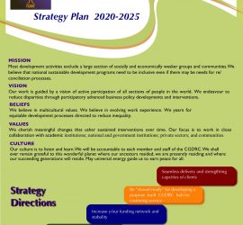 Stratigy Plan